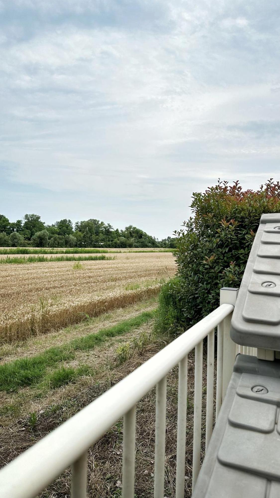 Ferienwohnung Parisi Bnb - Venezia Aeroporto Marco Polo Tessera Exterior foto
